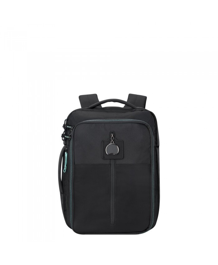 DELSEY - DAILY'S Backpack 14''